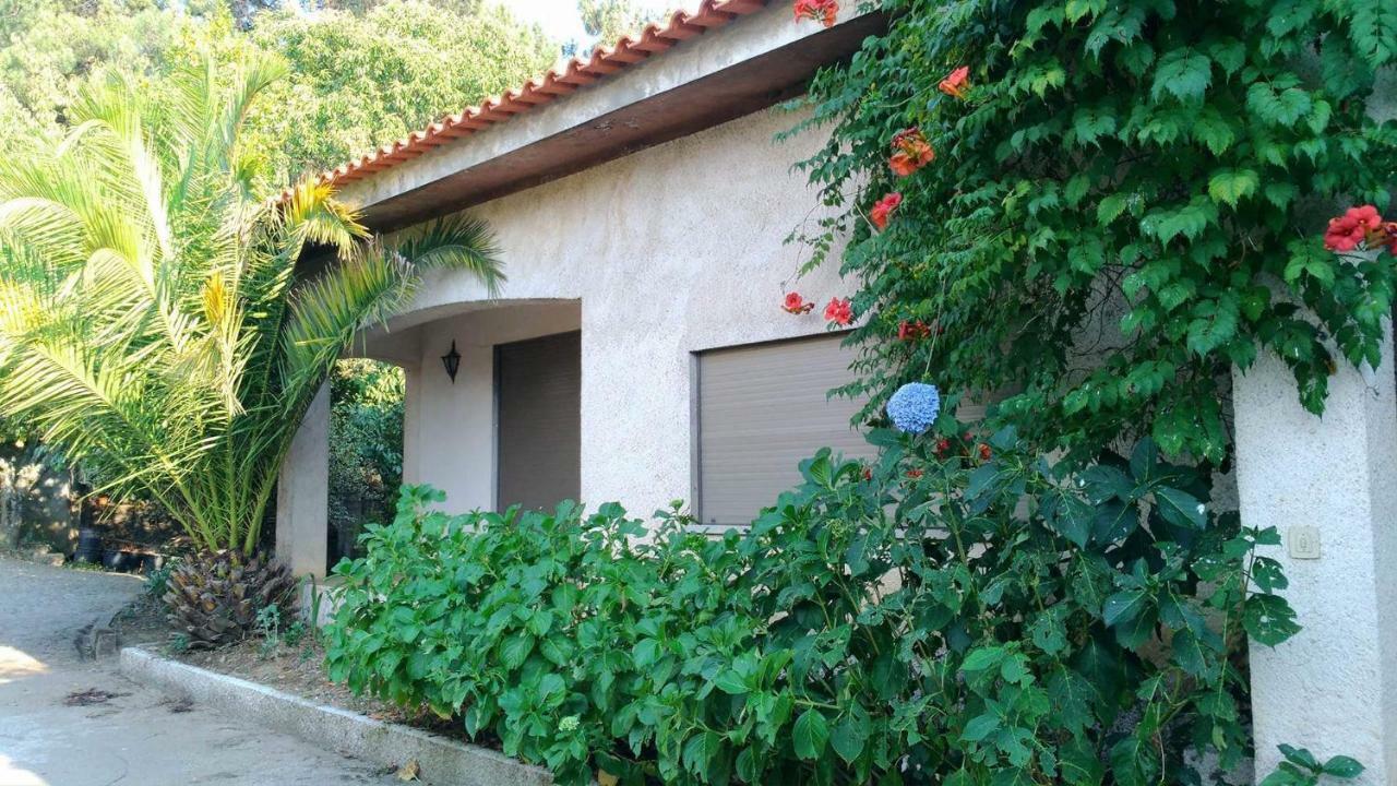 Casa Deus Villa Sabrosa Bagian luar foto